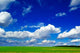 Landscape Wall Decal Design 5