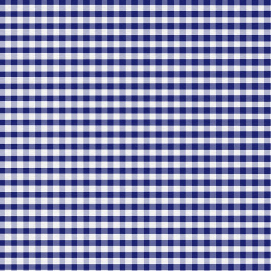 Blue Gingham