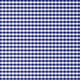 Blue Gingham