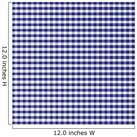 Blue Gingham