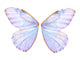 Fairy Wings Wall Decal