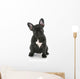 French Bulldog Sitting Wall Decal