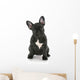 French Bulldog Sitting Wall Decal