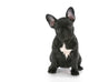 French Bulldog Sitting Wall Decal