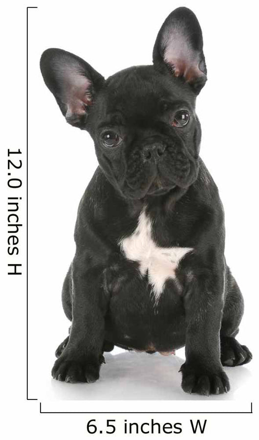 French Bulldog Sitting Wall Decal