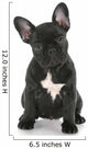 French Bulldog Sitting Wall Decal