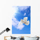 Dove
