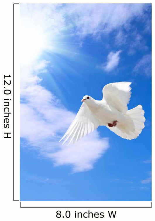 Dove