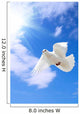Dove