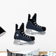 skates Wall Mural