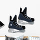 skates Wall Mural