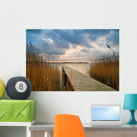 Evening on the backwaters. Wall Mural