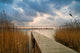 Evening on the backwaters. Wall Mural