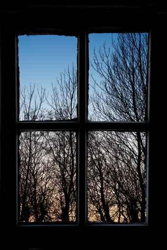 Winter Wall Decal Design 2