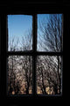 Winter Wall Decal Design 2