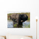 Elephant Wall Mural