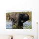 Elephant Wall Mural