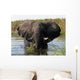 Elephant Wall Mural