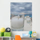 Wellness Wall Mural