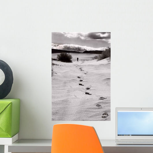 San Dune near Death Wall Decal