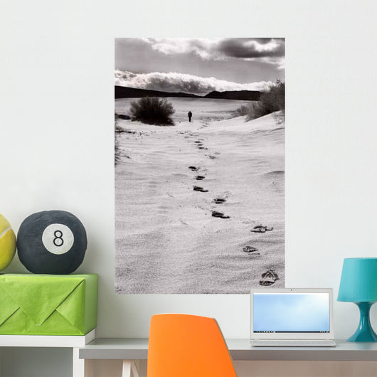 San Dune near Death Wall Decal