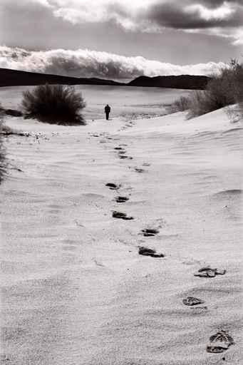 San Dune near Death Wall Decal