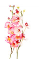 Pink Orchid Wall Decal
