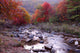 Autumn Northern China