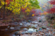 Autumn Northern China