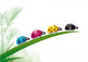 Cmyk Ladybugs Nature Vector