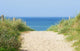 Dune at the Ocean Wall Mural
