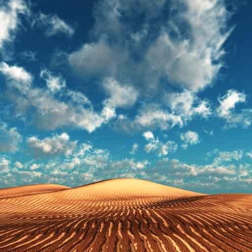 Red Dunes Wall Decal