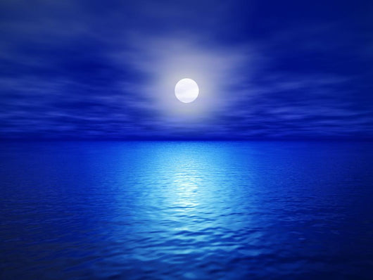Moon Wall Mural