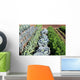 Vegetable garden vegetables Wall Mural