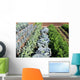 Vegetable garden vegetables Wall Mural
