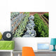 Vegetable garden vegetables Wall Mural