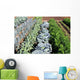 Vegetable garden vegetables Wall Mural