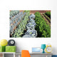 Vegetable garden vegetables Wall Mural
