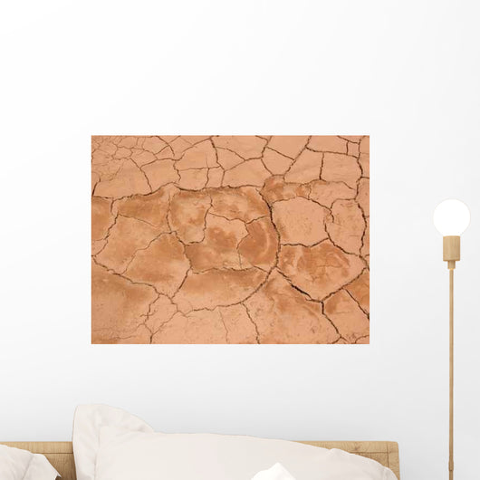 Cracked Desert Ground Wall Decal
