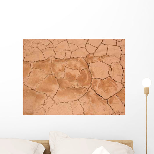 Cracked Desert Ground Wall Decal