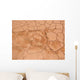 Cracked Desert Ground Wall Decal