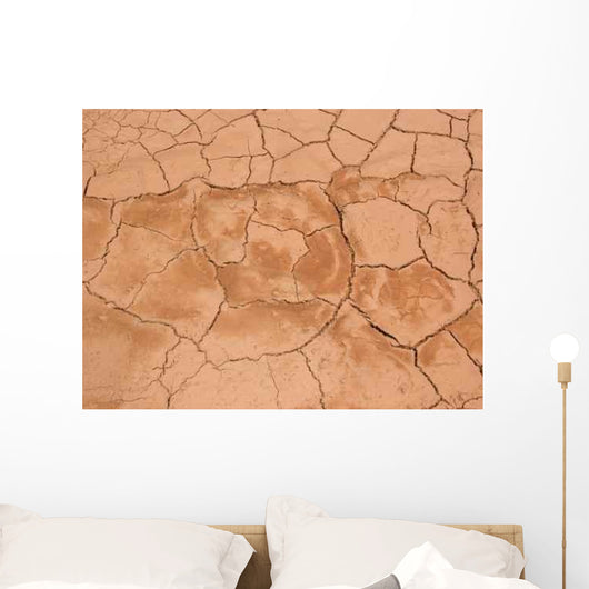 Cracked Desert Ground Wall Decal