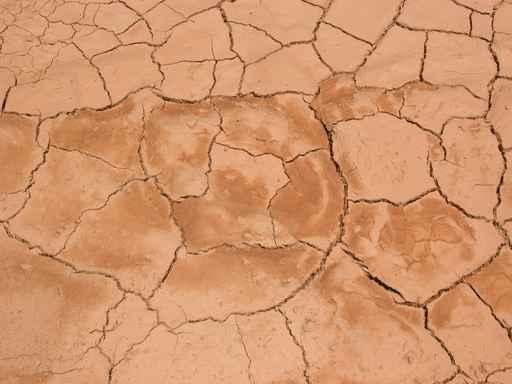 Cracked Desert Ground Wall Decal