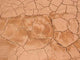 Cracked Desert Ground Wall Decal