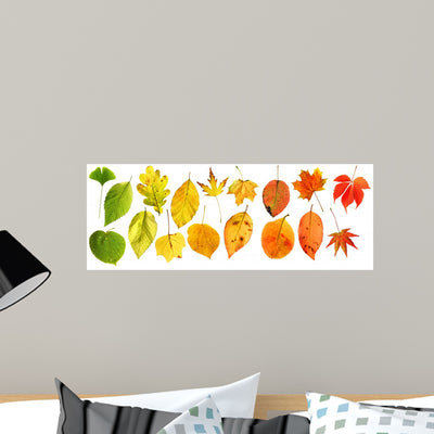 Rainbow Autumn Leaves Wall Stickers shown on a wall