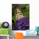 Distelfalter Vanessa Cardui Wall Mural