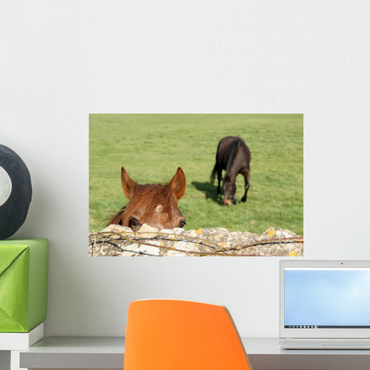 Horse Wall Mural