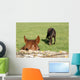 Horse Wall Mural