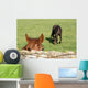 Horse Wall Mural