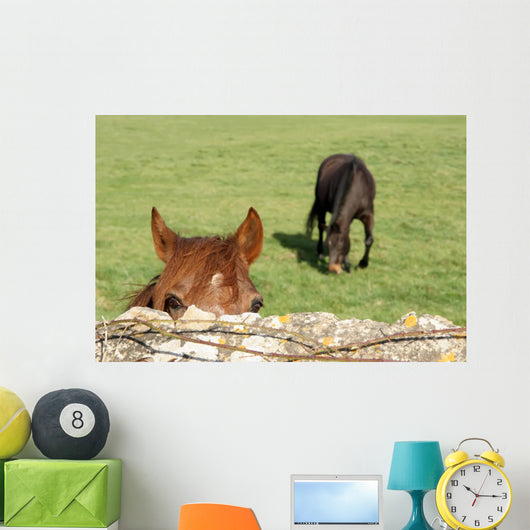 Horse Wall Mural